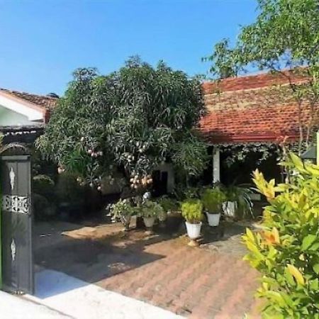 Alexandra Family Villa Negombo Exterior foto