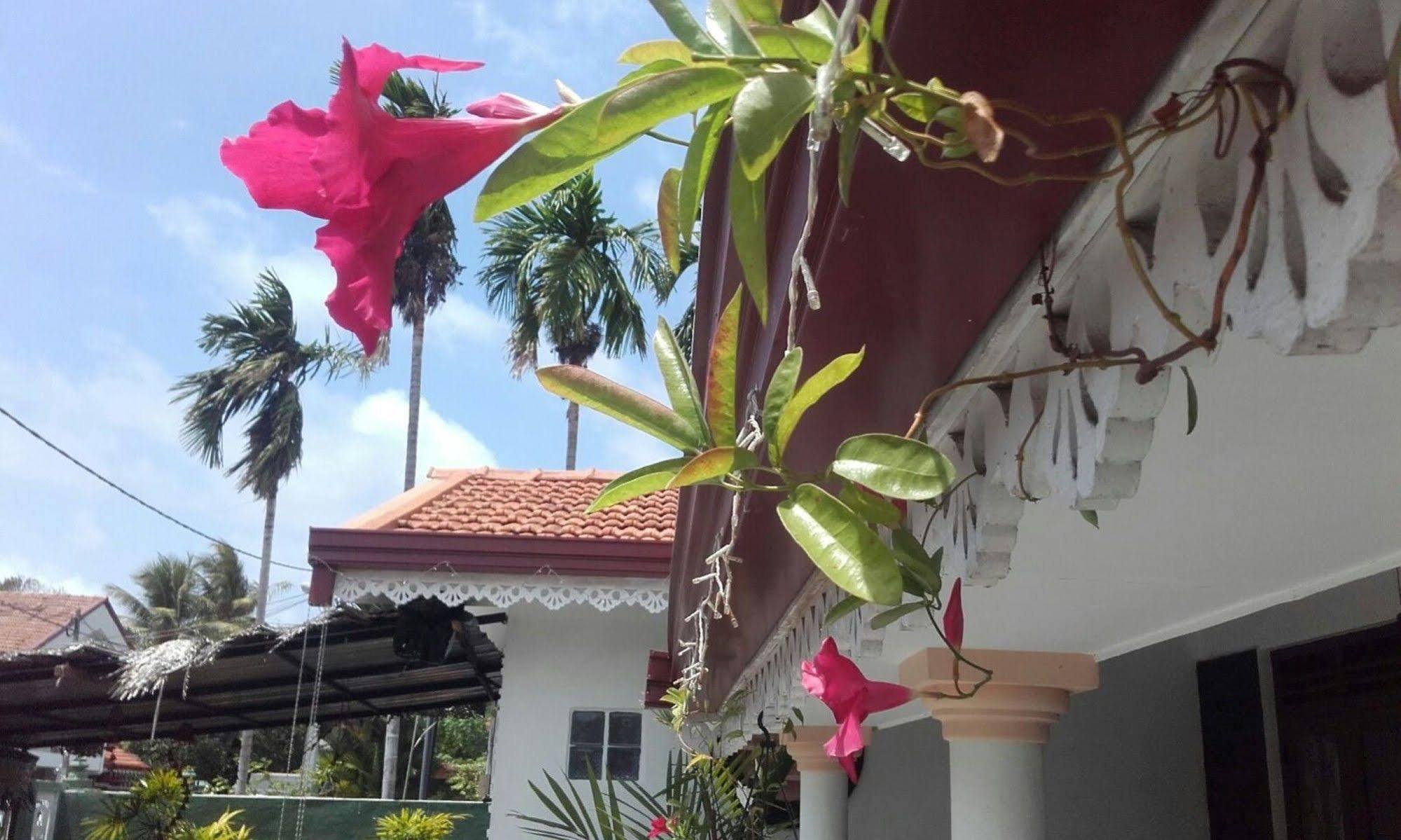 Alexandra Family Villa Negombo Exterior foto